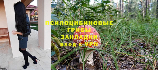 ПСИЛОЦИБИНОВЫЕ ГРИБЫ Алексин