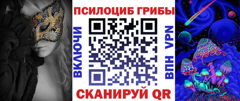 Галлюциногенные грибы Psilocybine cubensis  Бугуруслан 