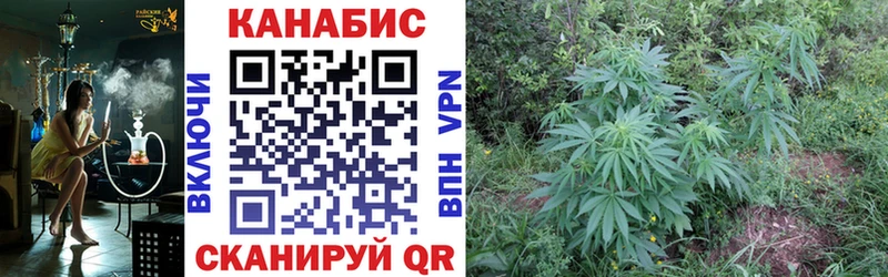 Конопля гибрид  где купить наркоту  Бугуруслан 
